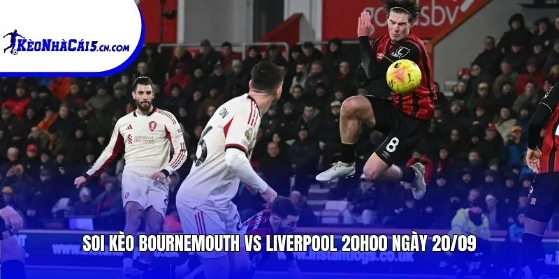 Soi kèo Bournemouth vs Liverpool | 20h00 ngày 20/09